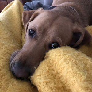 Meet your Posher, Rebecca